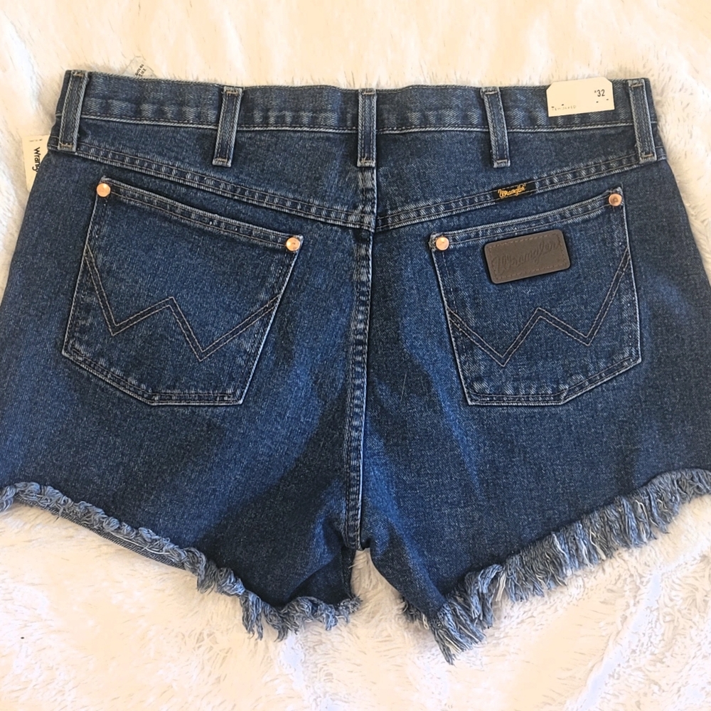 UO Wrangler Shorts